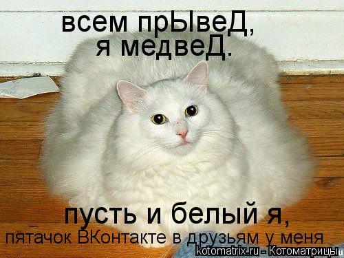 всем прЫвеД, я медвеД. пусть и белый я, пятачок ВКонтакте в друзьям у меня... Котоматрица: всем прЫвеД, я медвеД. пусть и белый я, пятачок ВКонтакте в друзьям у меня