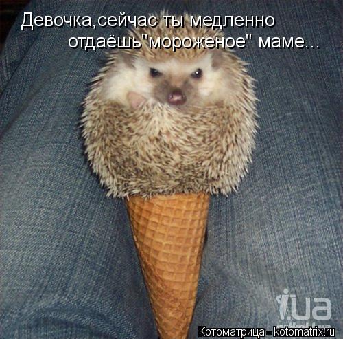 Девочка,сейчас ты медленно отдаёшь"мороженое" маме...... Котоматрица: Девочка,сейчас ты медленно отдаёшь"мороженое" маме...