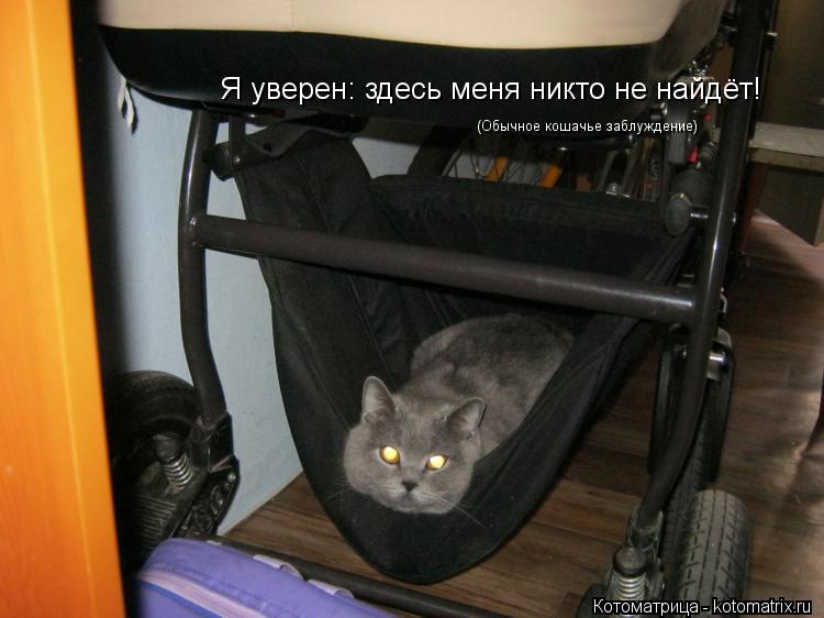 Я уверен: здесь меня никто не найдёт! (Обычное кошачье заблуждение)... Котоматрица: Я уверен: здесь меня никто не найдёт! (Обычное кошачье заблуждение)