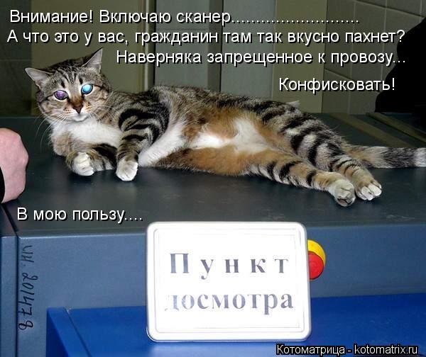 Внимание! Включаю сканер.......................... А что это у вас, гражданин там так вкусно пахнет? ... Котоматрица: Внимание! Включаю сканер.......................... А что это у вас, гражданин там так вкусно пахнет? Наверняка запрещенное к провозу... Конфисковать! В м