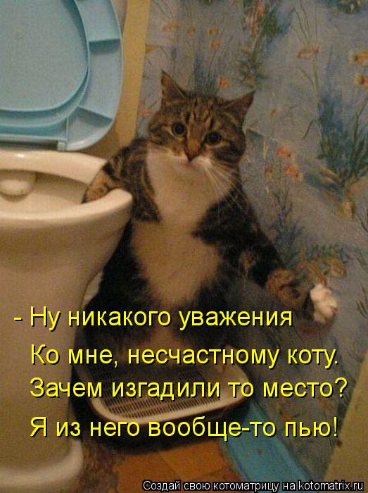 - Ну никакого уважения Ко мне, несчастному коту. Зачем изгадили то место? Я из него вообще-то пью!... Котоматрица: - Ну никакого уважения Ко мне, несчастному коту. Зачем изгадили то место? Я из него вообще-то пью!
