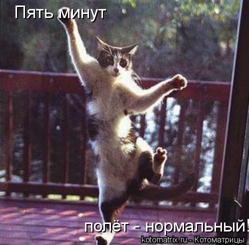 Пять минут полёт - нормальный!... Котоматрица: Пять минут полёт - нормальный!