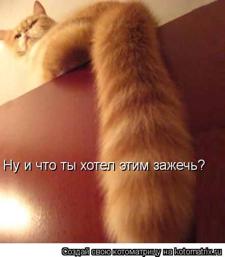 Ну и что ты хотел этим зажечь?... Котоматрица: Ну и что ты хотел этим зажечь?
