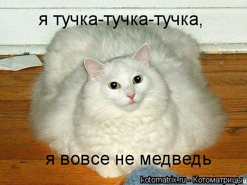 я тучка-тучка-тучка, я вовсе не медведь... Котоматрица: я тучка-тучка-тучка, я вовсе не медведь