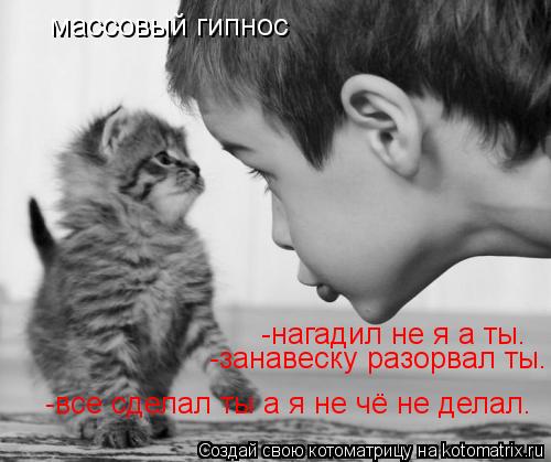 Котоматрица: массовый гипнос -нагадил не я а ты. -занавеску разорвал ты. -все сделал ты а я не чё не делал.