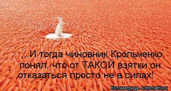 ...И тогда чиновник Крольченко понял, что от ТАКОЙ взятки он отказаться просто не в силах!... Котоматрица: ...И тогда чиновник Крольченко понял, что от ТАКОЙ взятки он отказаться просто не в силах!