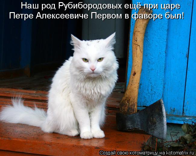 Наш род Рубибородовых ещё при царе Петре Алексеевиче Первом в фаворе был!... Котоматрица: Наш род Рубибородовых ещё при царе Петре Алексеевиче Первом в фаворе был!