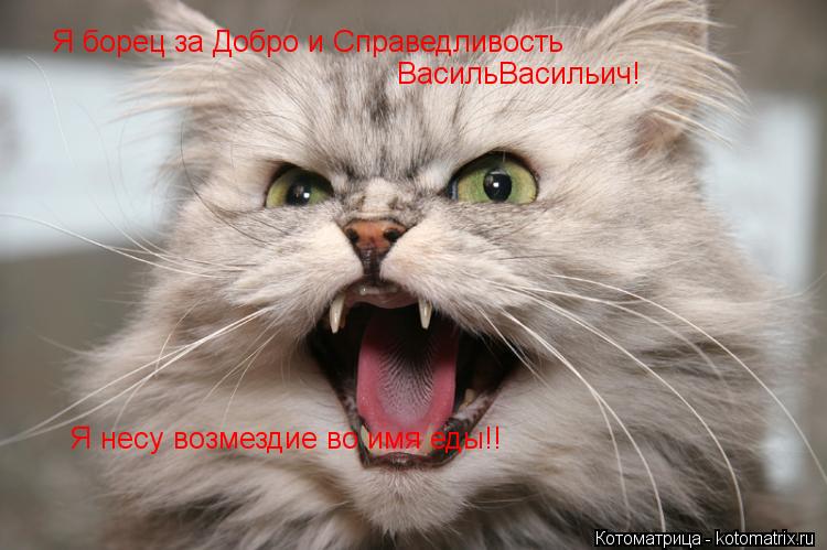 Котоматрица: Я борец за Добро и Справедливость ВасильВасильич! Я несу возмездие во имя еды!!