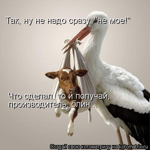 Так, ну не надо сразу, "не мое!" Что сделал, то и получай, производитель, блин...... Котоматрица: Так, ну не надо сразу, "не мое!" Что сделал, то и получай, производитель, блин...