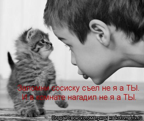 Запомни сосиску съел не я а ТЫ. И в комнате нагадил не я а ТЫ.... Котоматрица: Запомни сосиску съел не я а ТЫ. И в комнате нагадил не я а ТЫ.