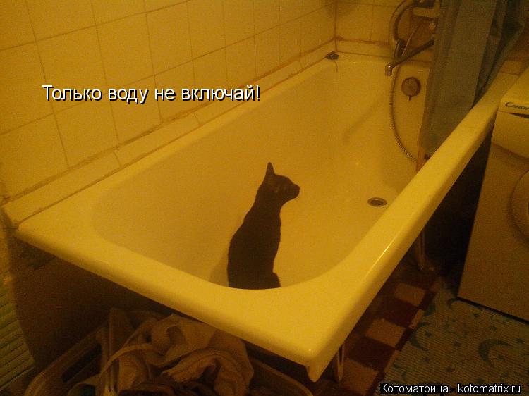 Только воду не включай!... Котоматрица: Только воду не включай!