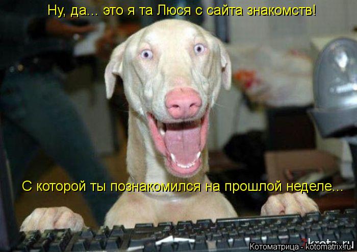 Ну, да... это я та Люся с сайта знакомств! С которой ты познакомился на прошлой неделе...... Котоматрица: Ну, да... это я та Люся с сайта знакомств! С которой ты познакомился на прошлой неделе...