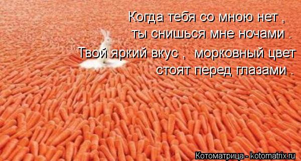 Когда тебя со мною нет , ты снишься мне ночами . Твой яркий вкус , морковный цвет стоят перед глаза... Котоматрица: Когда тебя со мною нет , ты снишься мне ночами . Твой яркий вкус , морковный цвет стоят перед глазами .