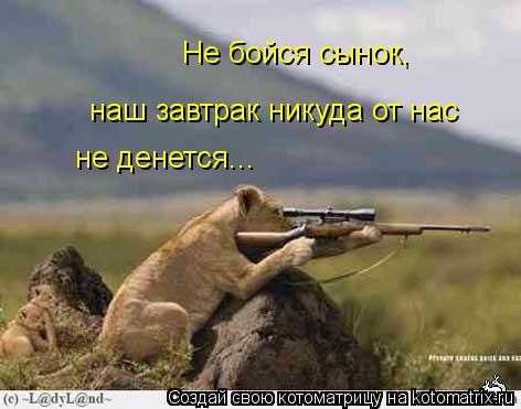 Не бойся сынок, наш завтрак никуда от нас не денется...... Котоматрица: Не бойся сынок, наш завтрак никуда от нас не денется...