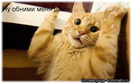 Ну обними меня разок... Котоматрица: Ну обними меня разок