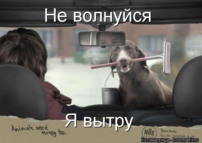 Не волнуйся Я вытру... Котоматрица: Не волнуйся Я вытру