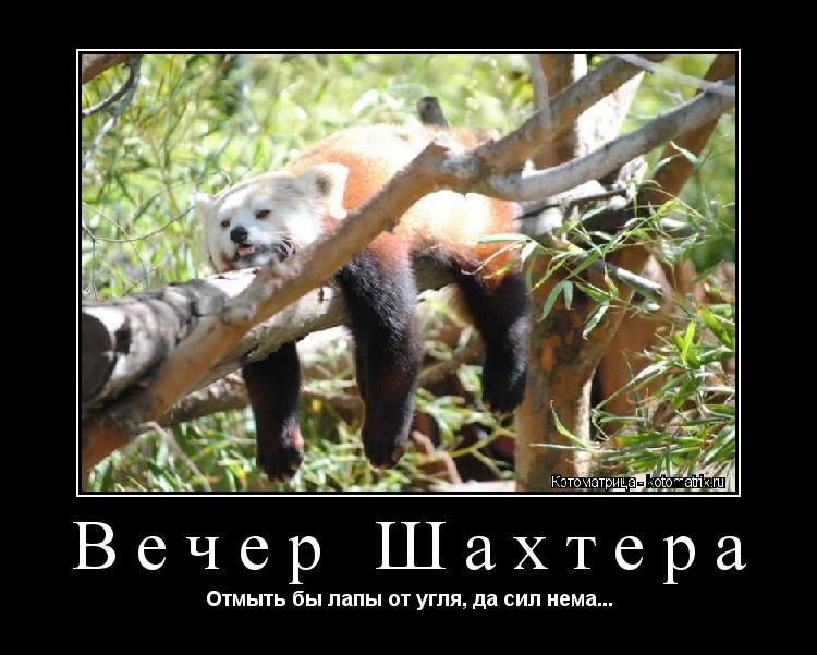 Вечер Шахтера Отмыть бы лапы от угля, да сил нема...... Котоматрица: Вечер Шахтера Отмыть бы лапы от угля, да сил нема...