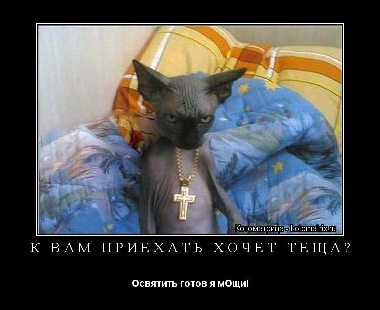К ВАМ ПРИЕХАТЬ ХОЧЕТ ТЕЩА? Освятить готов я мОщи!... Котоматрица: К ВАМ ПРИЕХАТЬ ХОЧЕТ ТЕЩА? Освятить готов я мОщи!