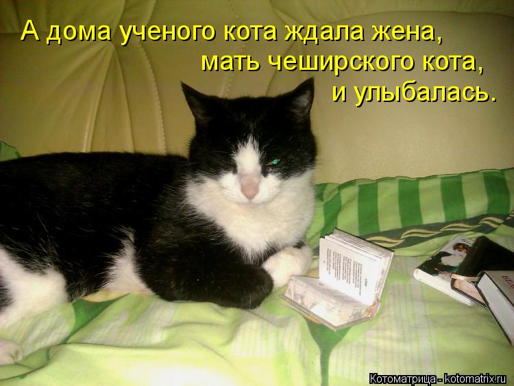 А дома ученого кота ждала жена, мать чеширского кота, и улыбалась.... Котоматрица: А дома ученого кота ждала жена, мать чеширского кота, и улыбалась.