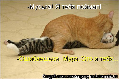 -Муська! Я тебя поймал! -Ошибаешься, Мурз. Это я тебя...... Котоматрица: -Муська! Я тебя поймал! -Ошибаешься, Мурз. Это я тебя...