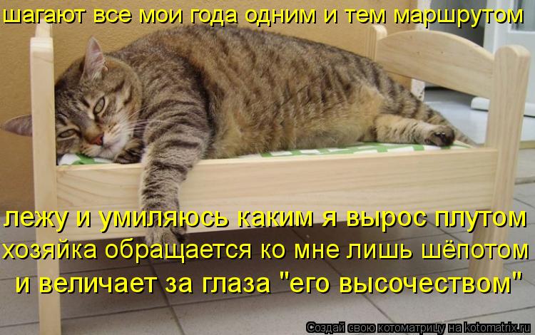 шагают все мои года одним и тем маршрутом лежу и умиляюсь каким я вырос плутом хозяйка обращается ко ... Котоматрица: шагают все мои года одним и тем маршрутом лежу и умиляюсь каким я вырос плутом хозяйка обращается ко мне лишь шёпотом и величает за глаза "е