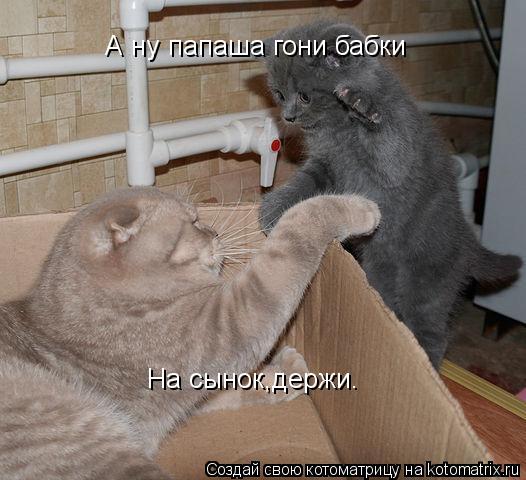 А ну папаша гони бабки На сынок,держи.... Котоматрица: А ну папаша гони бабки На сынок,держи.