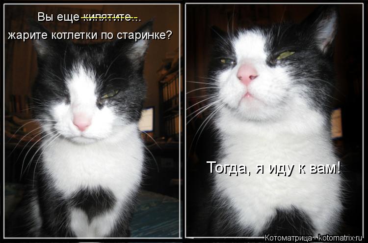 жарите котлетки по старинке? Вы еще кипятите… ------------- Тогда, я иду к вам!... Котоматрица: жарите котлетки по старинке? Вы еще кипятите… ------------- Тогда, я иду к вам!