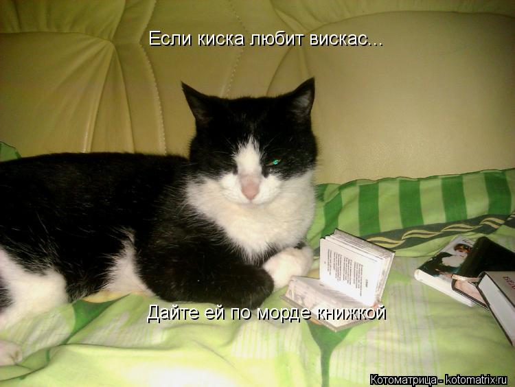 Если киска любит вискас... Дайте ей по морде книжкой... Котоматрица: Если киска любит вискас... Дайте ей по морде книжкой