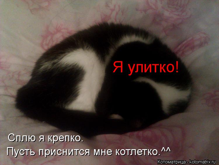 Я улитко! Сплю я крепко. Пусть приснится мне котлетко.^^... Котоматрица: Я улитко! Сплю я крепко. Пусть приснится мне котлетко.^^