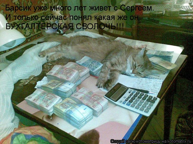 Барсик уже много лет живет с Сергеем. И только сейчас понял какая же он БУХГАЛТЕРСКАЯ СВОЛОЧЬ!!!... Котоматрица: Барсик уже много лет живет с Сергеем. И только сейчас понял какая же он БУХГАЛТЕРСКАЯ СВОЛОЧЬ!!!