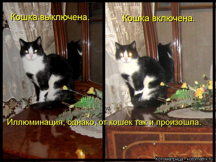 Кошка выключена. Кошка включена. Иллюминация, однако, от кошек так и произошла.... Котоматрица: Кошка выключена. Кошка включена. Иллюминация, однако, от кошек так и произошла.