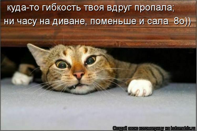 куда-то гибкость твоя вдруг пропала; ни часу на диване, поменьше и сала 8о))... Котоматрица: куда-то гибкость твоя вдруг пропала; ни часу на диване, поменьше и сала 8о))