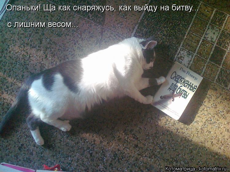 Опаньки! Ща как снаряжусь, как выйду на битву... с лишним весом...... Котоматрица: Опаньки! Ща как снаряжусь, как выйду на битву... с лишним весом...