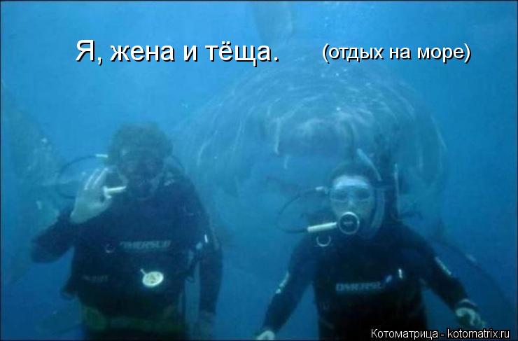 Я, жена и тёща. (отдых на море)... Котоматрица: Я, жена и тёща. (отдых на море)