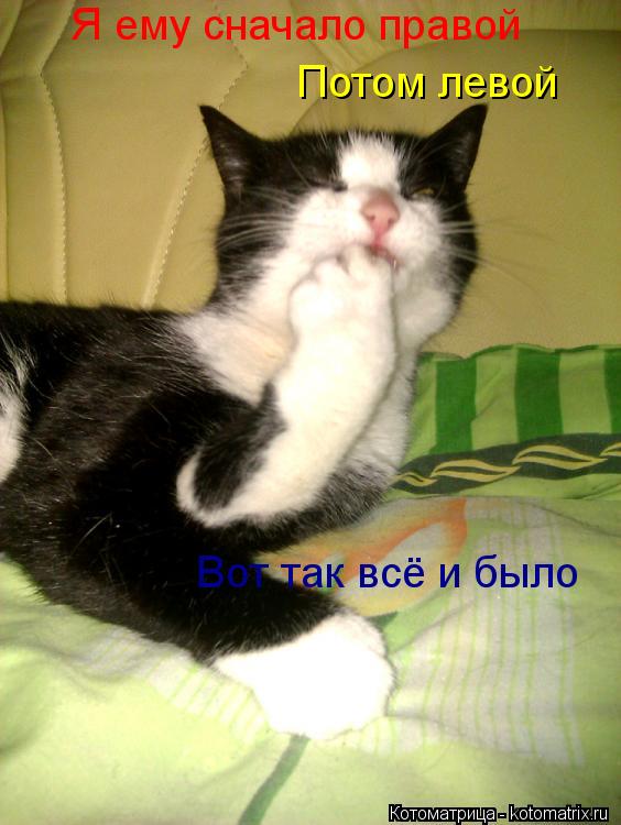 Я ему сначало правой Потом левой Вот так всё и было... Котоматрица: Я ему сначало правой Потом левой Вот так всё и было