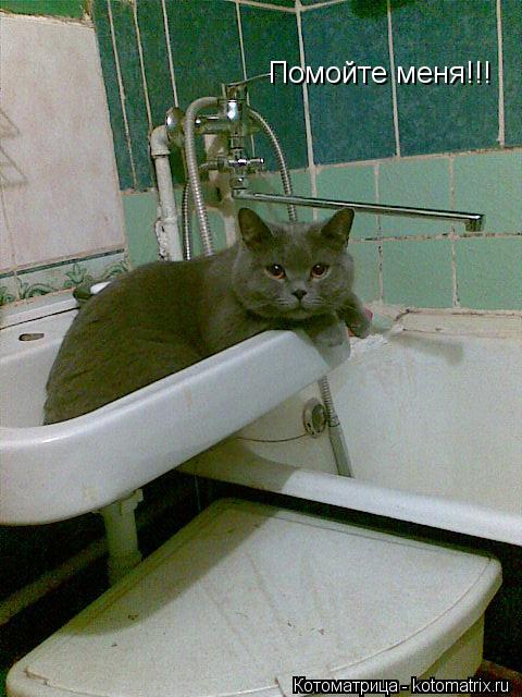 Помойте меня!!!... Котоматрица: Помойте меня!!!