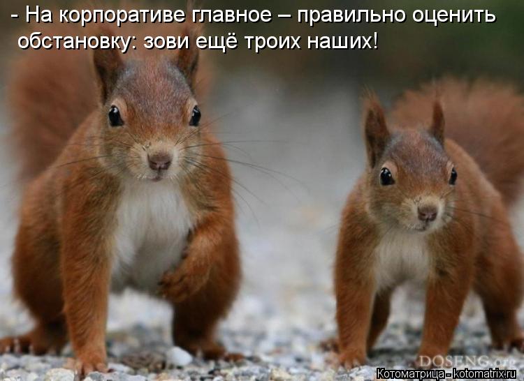 - На корпоративе главное – правильно оценить обстановку: зови ещё троих наших!... Котоматрица: - На корпоративе главное – правильно оценить обстановку: зови ещё троих наших!