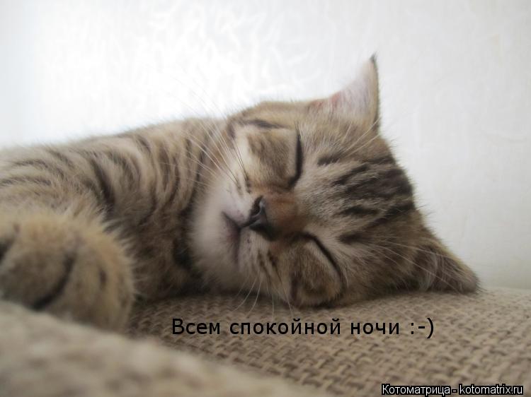 Всем спокойной ночи :-)... Котоматрица: Всем спокойной ночи :-)
