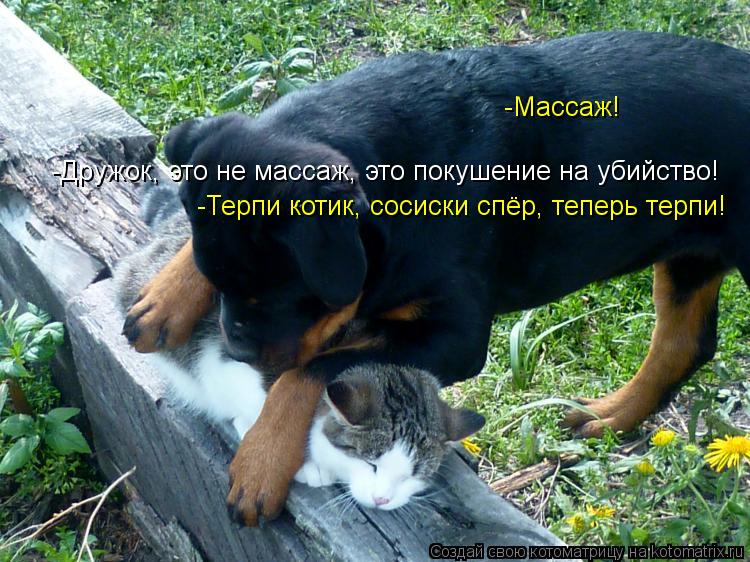 -Массаж! -Дружок, это не массаж, это покушение на убийство! -Терпи котик, сосиски спёр, теперь терпи!... Котоматрица: -Массаж! -Дружок, это не массаж, это покушение на убийство! -Терпи котик, сосиски спёр, теперь терпи!