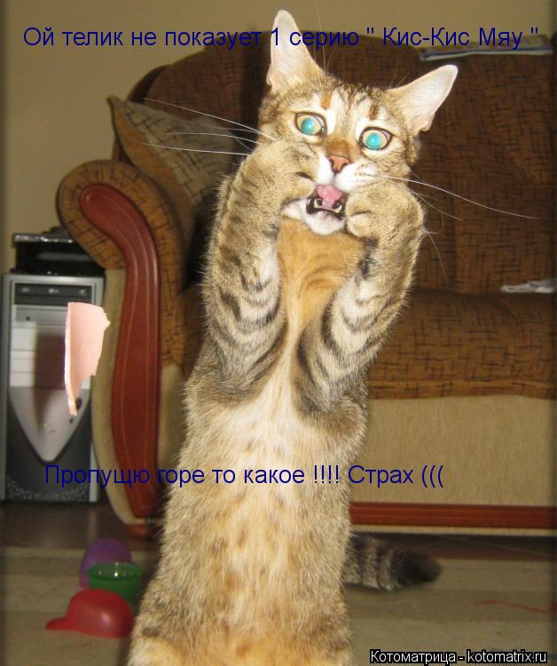 Пропущю горе то какое !!!! Страх ((( Ой телик не показует 1 серию " Кис-Кис Мяу "... Котоматрица: Пропущю горе то какое !!!! Страх ((( Ой телик не показует 1 серию " Кис-Кис Мяу "
