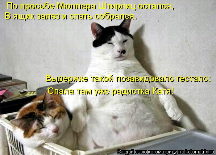 По просьбе Мюллера Штирлиц остался, В ящик залез и спать собрался. Выдержке такой позавидовало гест... Котоматрица: По просьбе Мюллера Штирлиц остался, В ящик залез и спать собрался. Выдержке такой позавидовало гестапо: Спала там уже радистка Катя!