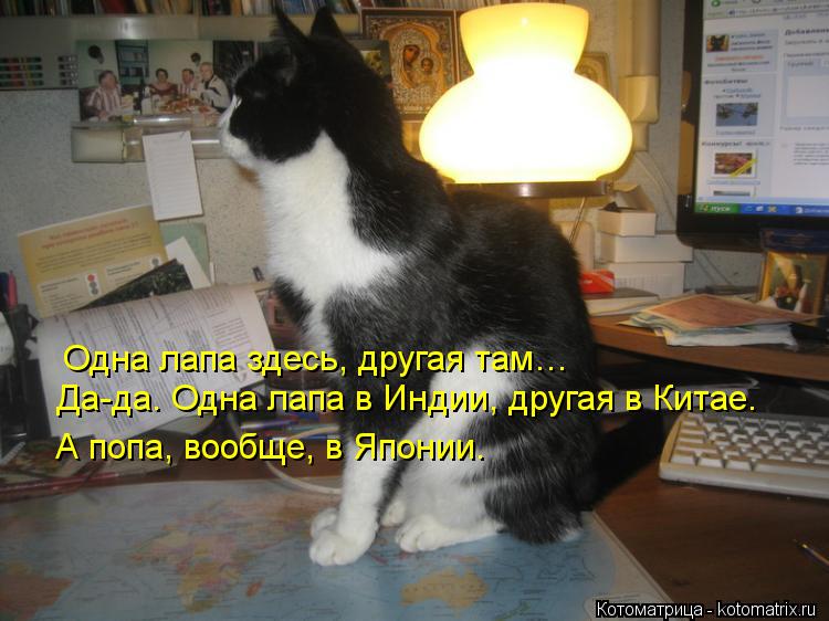 Одна лапа здесь, другая там… Да-да. Одна лапа в Индии, другая в Китае. А попа, вообще, в Японии.... Котоматрица: Одна лапа здесь, другая там… Да-да. Одна лапа в Индии, другая в Китае. А попа, вообще, в Японии.