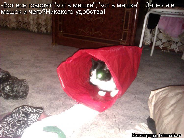 -Вот все говорят "кот в мешке","кот в мешке"...Залез я в мешок,и чего?Никакого удобства!... Котоматрица: -Вот все говорят "кот в мешке","кот в мешке"...Залез я в мешок,и чего?Никакого удобства!