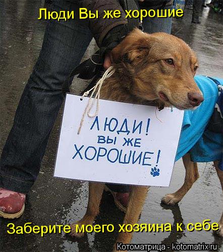 Люди Вы же хорошие Заберите моего хозяина к себе... Котоматрица: Люди Вы же хорошие Заберите моего хозяина к себе