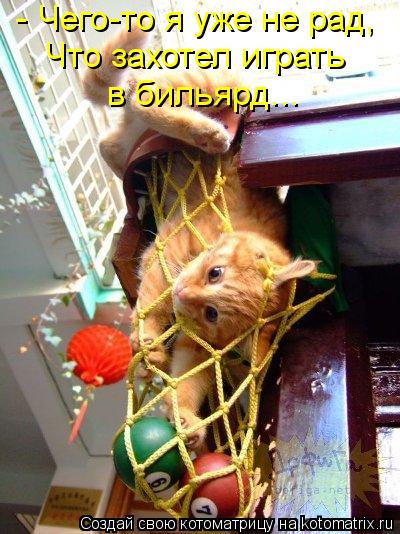 - Чего-то я уже не рад, Что захотел играть в бильярд...... Котоматрица: - Чего-то я уже не рад, Что захотел играть в бильярд...