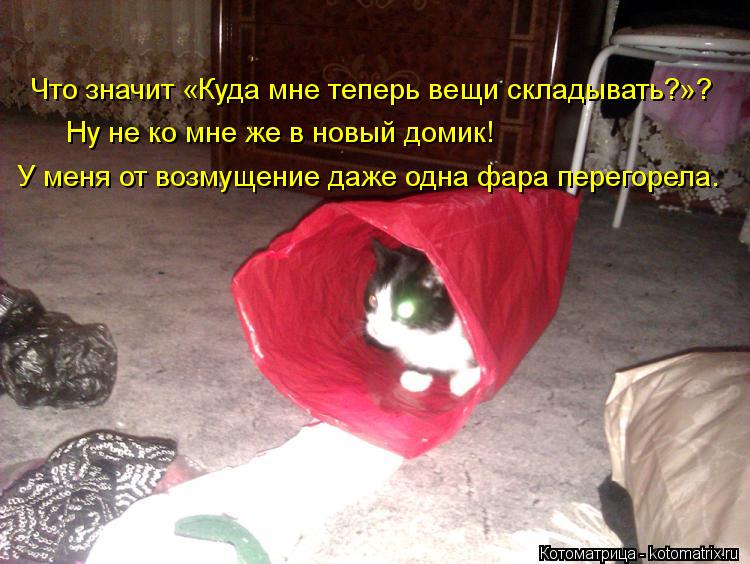 Что значит «Куда мне теперь вещи складывать?»? Ну не ко мне же в новый домик! У меня от возмущение да... Котоматрица: Что значит «Куда мне теперь вещи складывать?»? Ну не ко мне же в новый домик! У меня от возмущение даже одна фара перегорела.