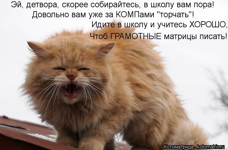 Эй, детвора, скорее собирайтесь, в школу вам пора! Чтоб ГРАМОТНЫЕ матрицы писать! Довольно вам уже за... Котоматрица: Эй, детвора, скорее собирайтесь, в школу вам пора! Чтоб ГРАМОТНЫЕ матрицы писать! Довольно вам уже за КОМПами "торчать"! Идите в школу и учите