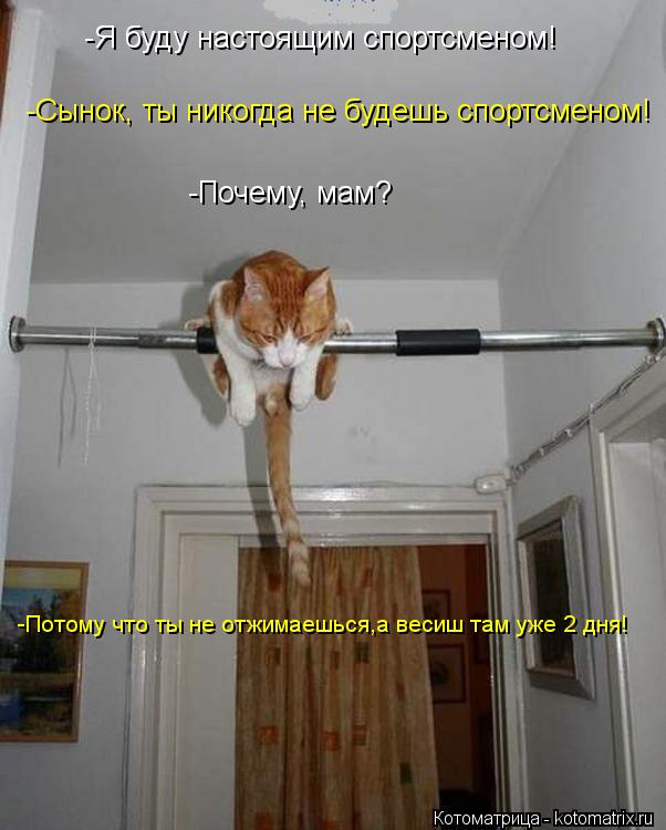 -Я буду настоящим спортсменом! -Сынок, ты никогда не будешь спортсменом! -Почему, мам? -Потому что ты... Котоматрица: -Я буду настоящим спортсменом! -Сынок, ты никогда не будешь спортсменом! -Почему, мам? -Потому что ты не отжимаешься,а весиш там уже 2 дня!