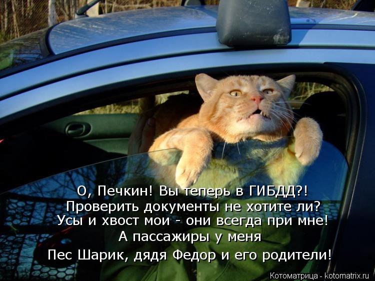 О, Печкин! Вы теперь в ГИБДД?! Проверить документы не хотите ли? Усы и хвост мои - они всегда при мне... Котоматрица: О, Печкин! Вы теперь в ГИБДД?! Проверить документы не хотите ли? Усы и хвост мои - они всегда при мне! Пес Шарик, дядя Федор и его родители! А пас