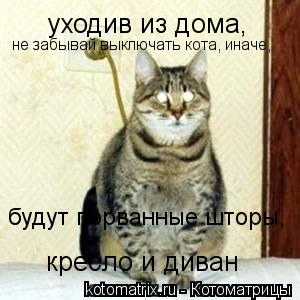 уходив из дома, не забывай выключать кота, иначе, будут порванные шторы, кресло и диван... Котоматрица: уходив из дома, не забывай выключать кота, иначе, будут порванные шторы, кресло и диван